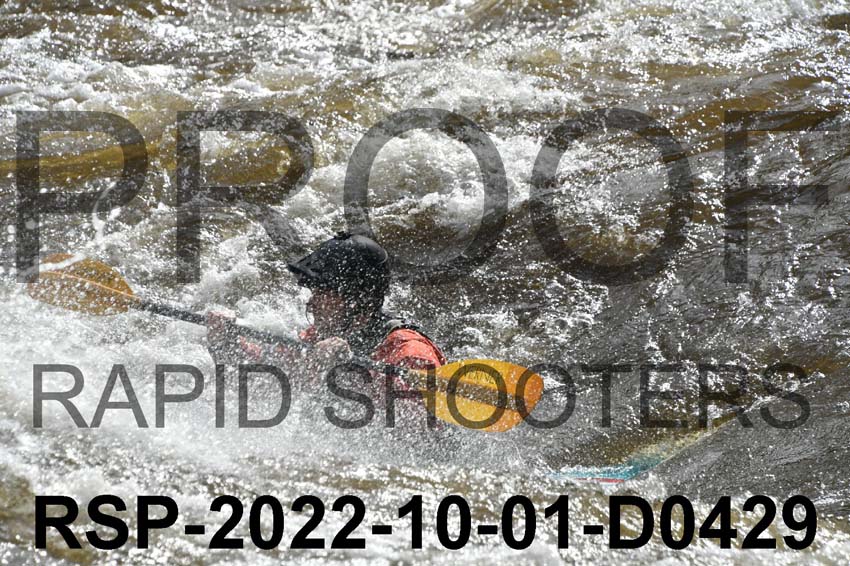 RSP-2022-10-01-D0429