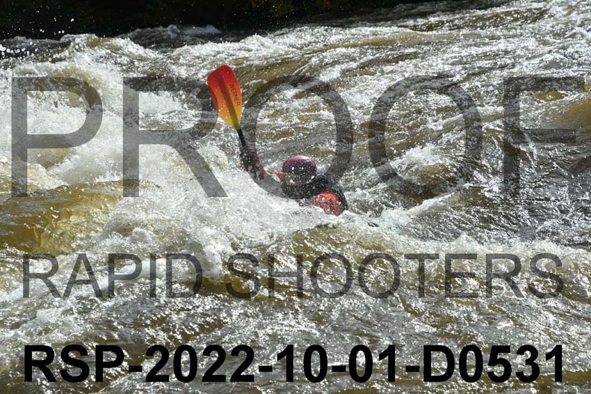 RSP-2022-10-01-D0531