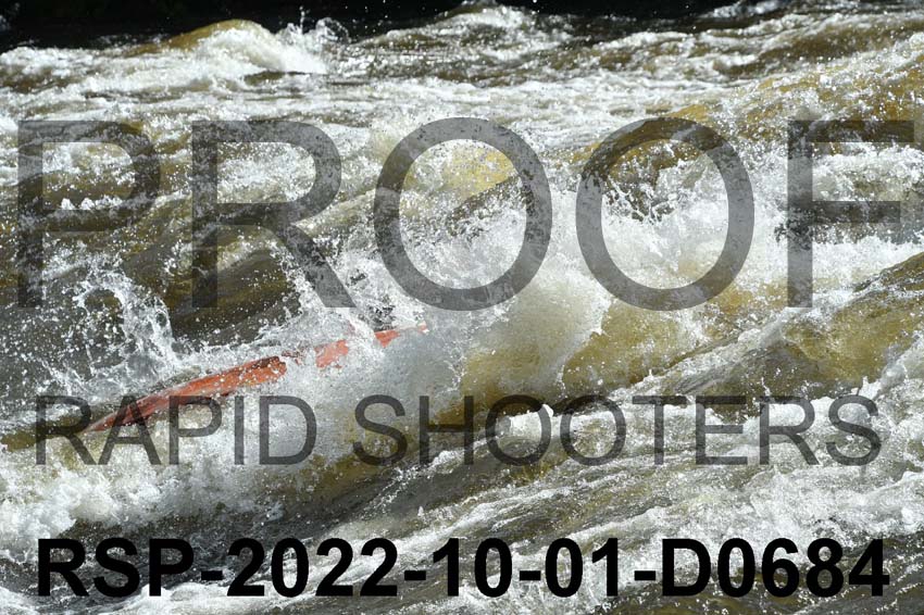 RSP-2022-10-01-D0684