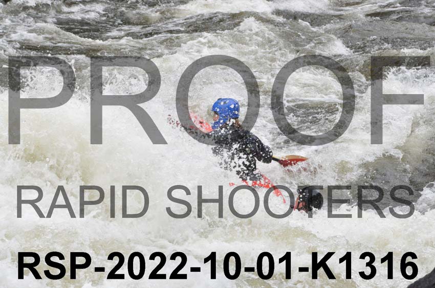 RSP-2022-10-01-K1316