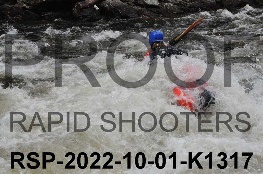 RSP-2022-10-01-K1317