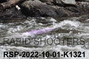 RSP-2022-10-01-K1321