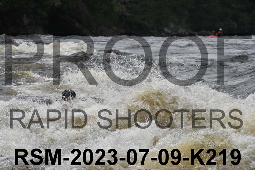 RSM-2023-07-09-K219