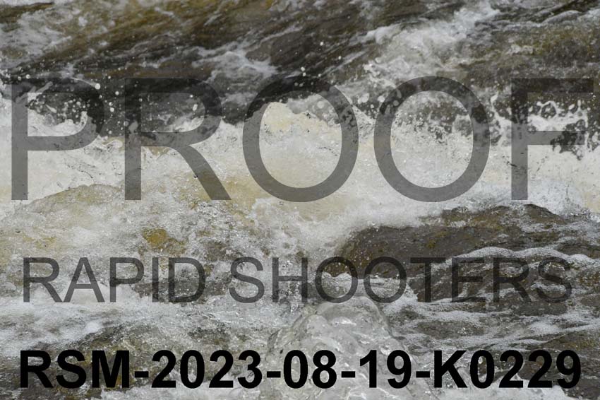 RSM-2023-08-19-K0229