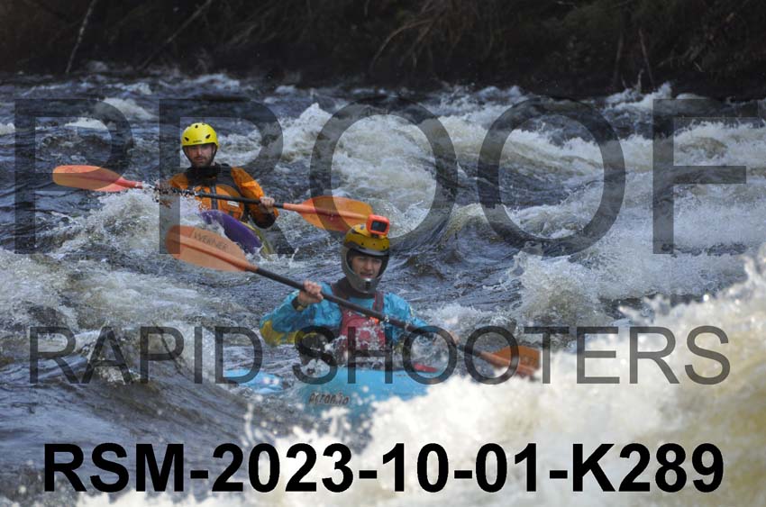 RSM-2023-10-01-K289