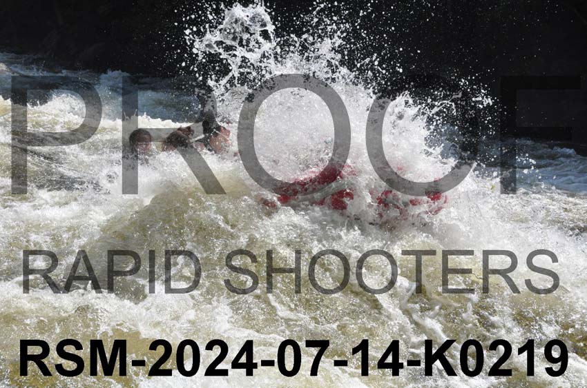 RSM-2024-07-14-K0219