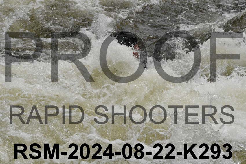 RSM-2024-08-22-K293