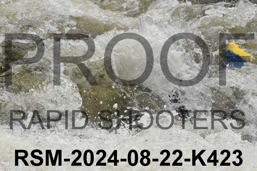 RSM-2024-08-22-K423