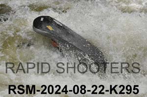 RSM-2024-08-22-K295