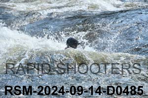 RSM-2024-09-14-D0485