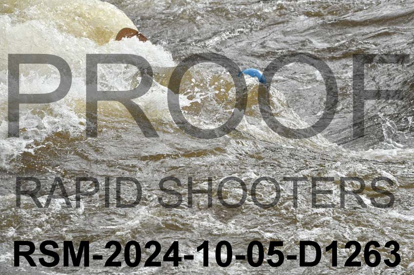 RSM-2024-10-05-D1263
