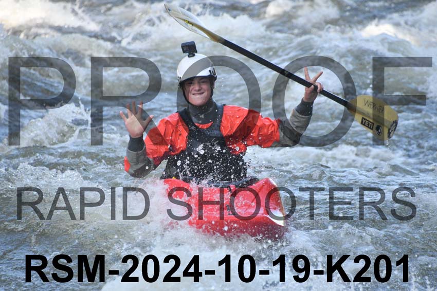 RSM-2024-10-19-K201