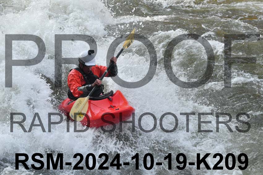 RSM-2024-10-19-K209