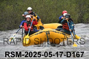 RSM-2025-05-17-D167