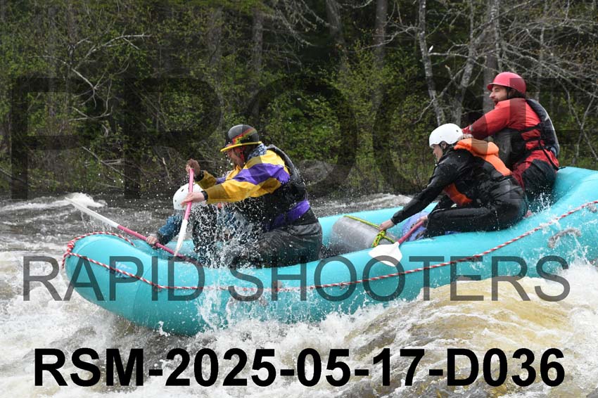 RSM-2025-05-17-D036