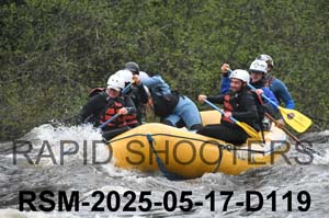 RSM-2025-05-17-D119