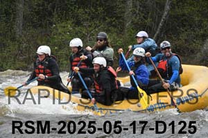 RSM-2025-05-17-D125