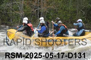 RSM-2025-05-17-D131