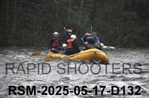 RSM-2025-05-17-D132