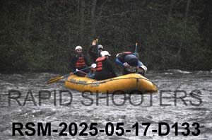 RSM-2025-05-17-D133