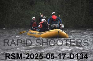 RSM-2025-05-17-D134
