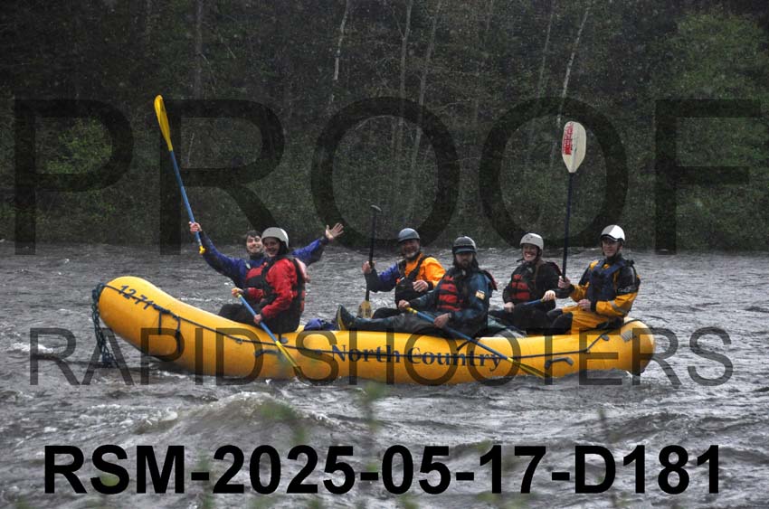 RSM-2025-05-17-D181
