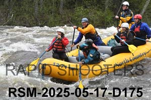 RSM-2025-05-17-D175