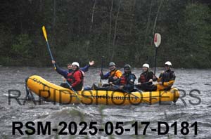 RSM-2025-05-17-D181