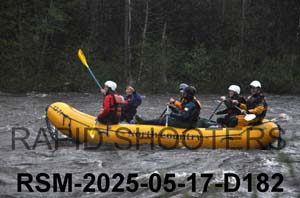 RSM-2025-05-17-D182