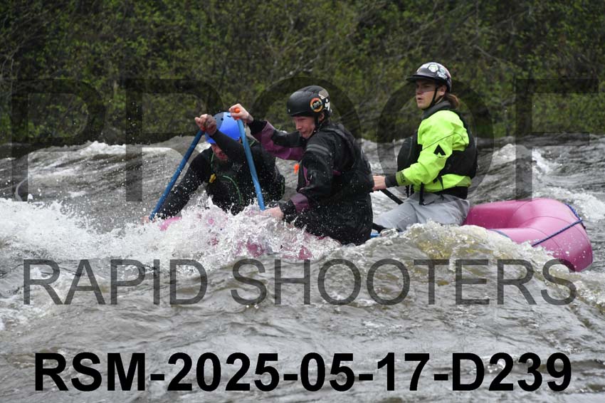 RSM-2025-05-17-D239