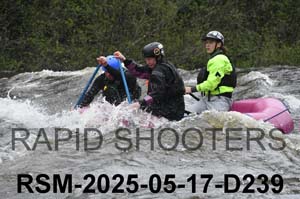 RSM-2025-05-17-D239