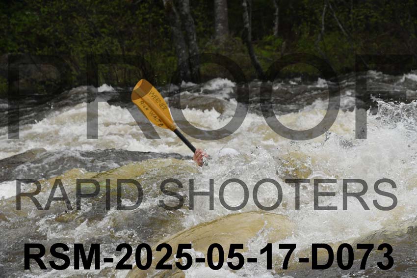 RSM-2025-05-17-D073