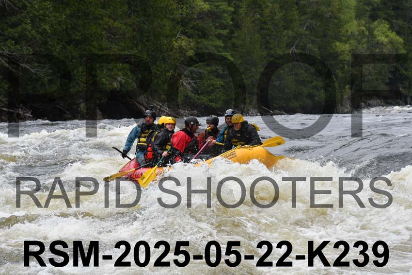 RSM-2025-05-22-K239