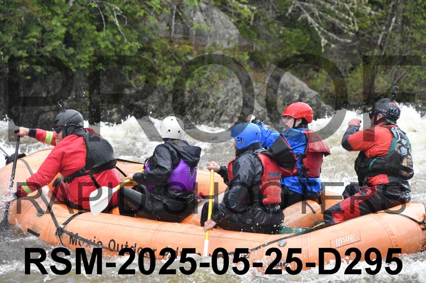 RSM-2025-05-25-D295