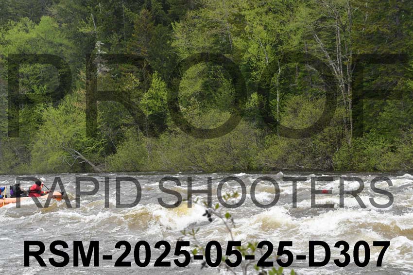 RSM-2025-05-25-D307