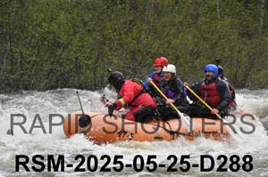 RSM-2025-05-25-D288