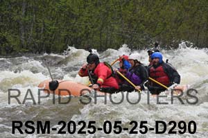 RSM-2025-05-25-D290