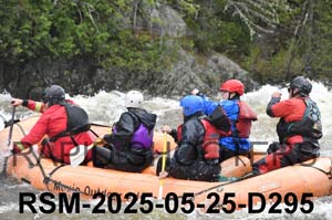 RSM-2025-05-25-D295