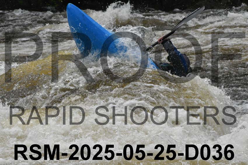 RSM-2025-05-25-D036
