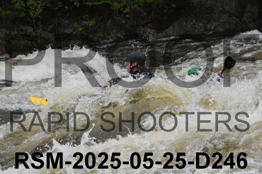RSM-2025-05-25-D246