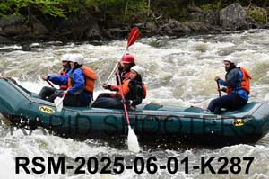 RSM-2025-06-01-K287