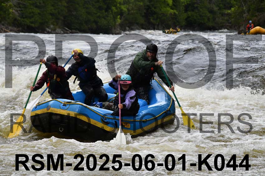 RSM-2025-06-01-K044