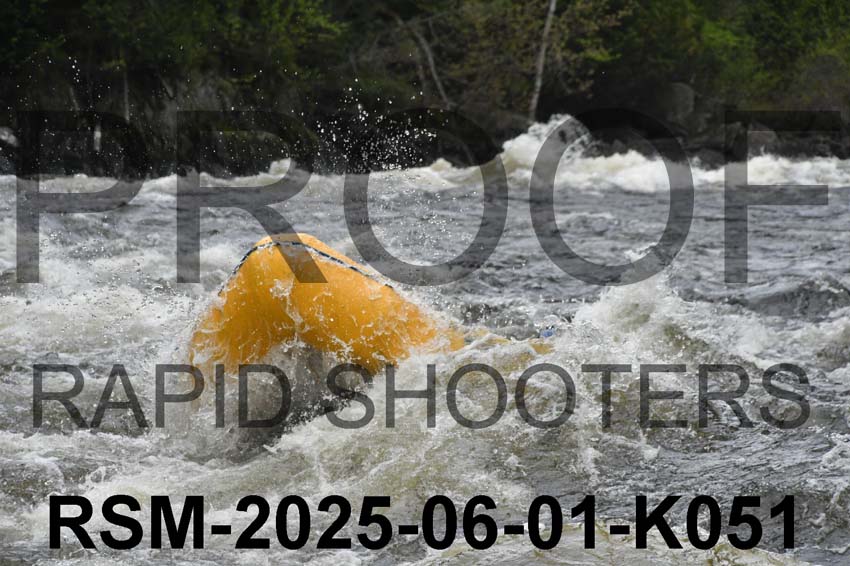 RSM-2025-06-01-K051