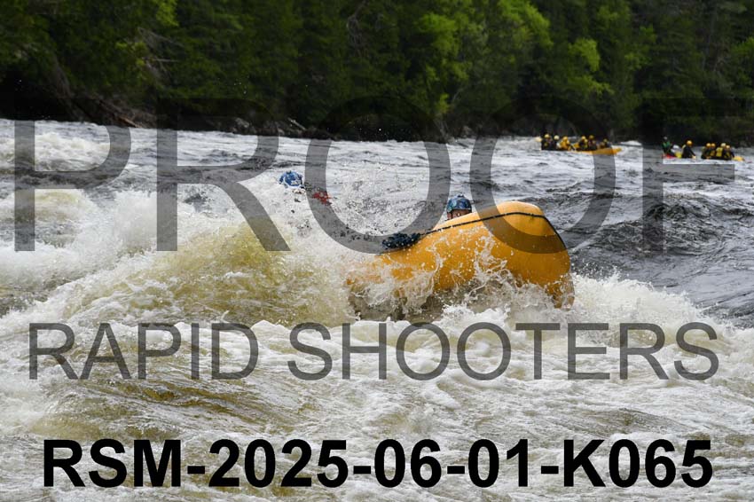 RSM-2025-06-01-K065