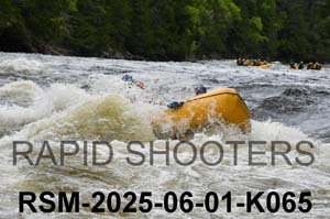 RSM-2025-06-01-K065