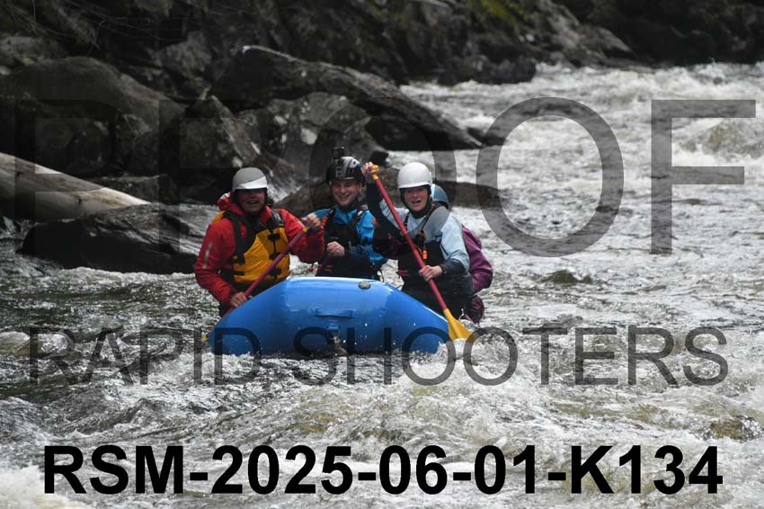 RSM-2025-06-01-K134