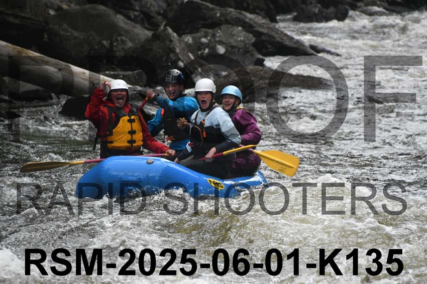 RSM-2025-06-01-K135
