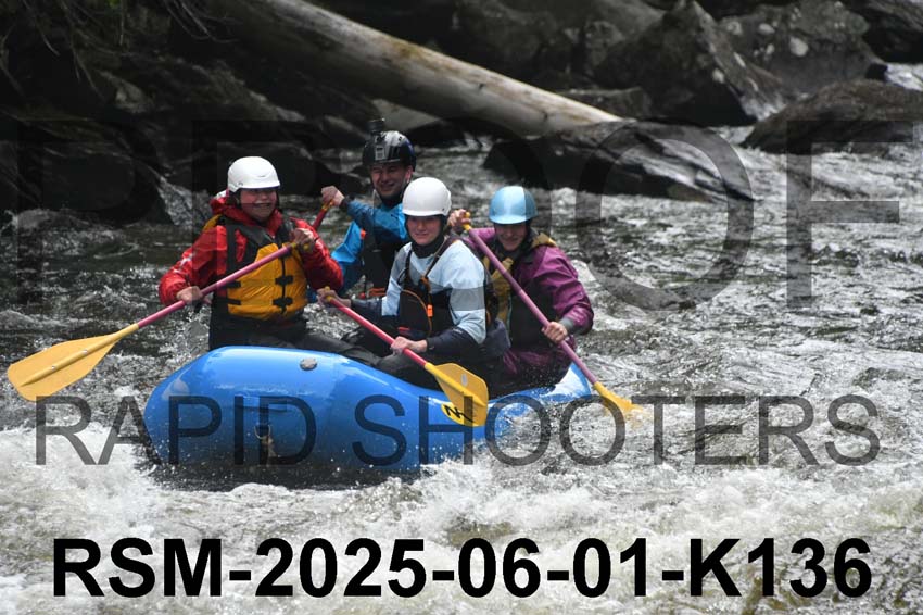 RSM-2025-06-01-K136