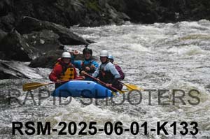 RSM-2025-06-01-K133