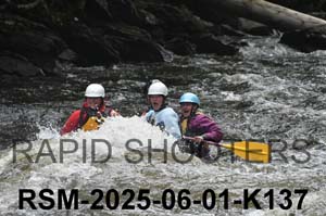 RSM-2025-06-01-K137